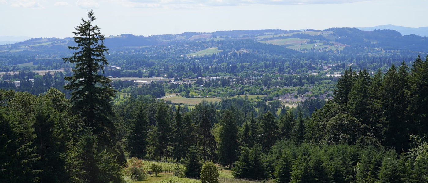 Lush green valley farmland near Albany Oregon