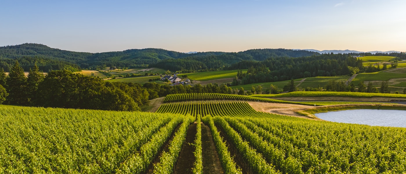 Green Willamette Valley landscape near Corvallis Oregon