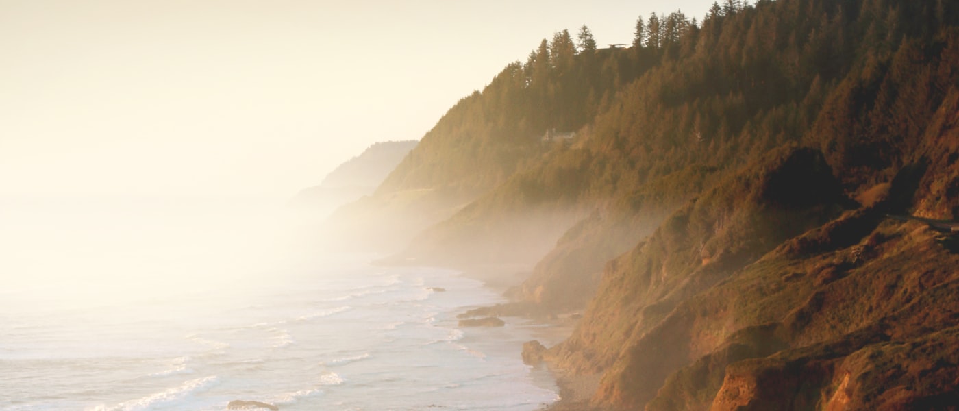 Forested cliffs along the Oregon coast near Tillamook