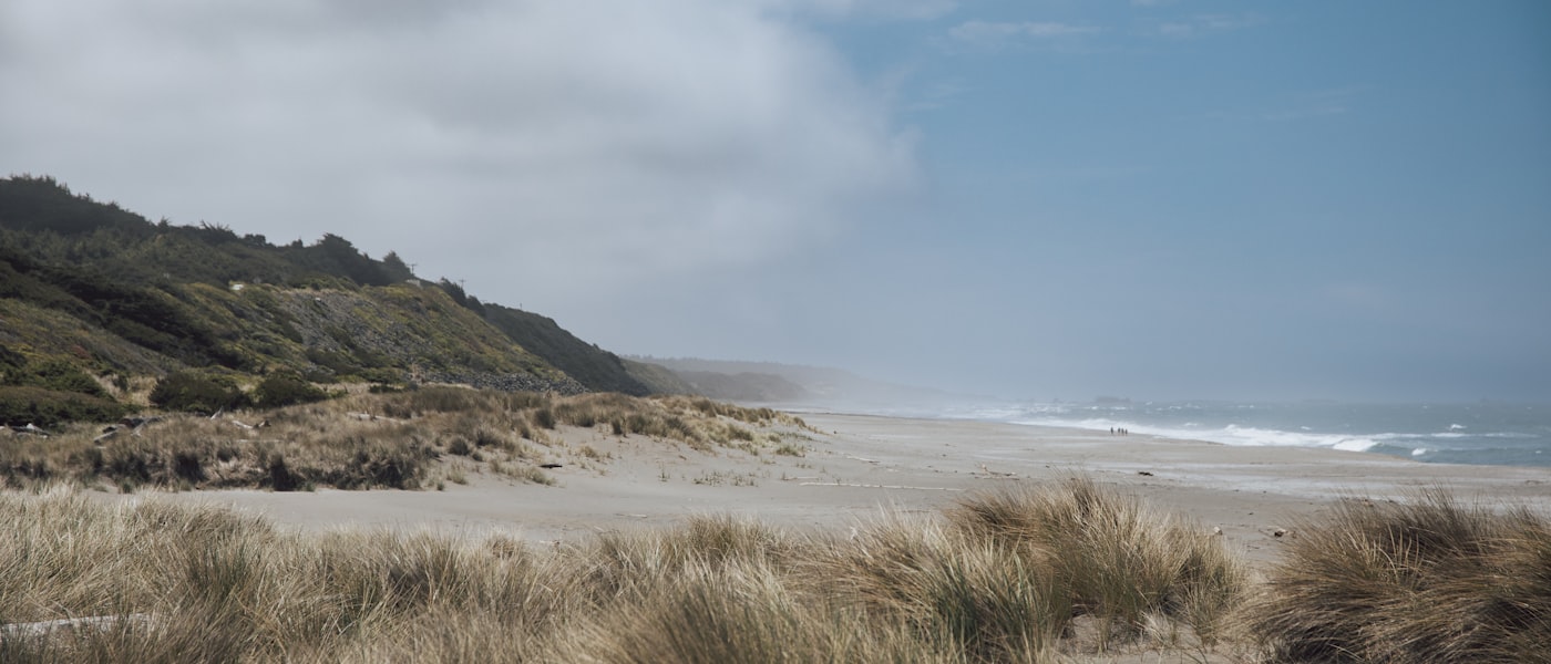Sandy beach with coastal grass near Waldport Oregon